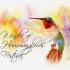 Ijams Nature Center Hummingbird Festival